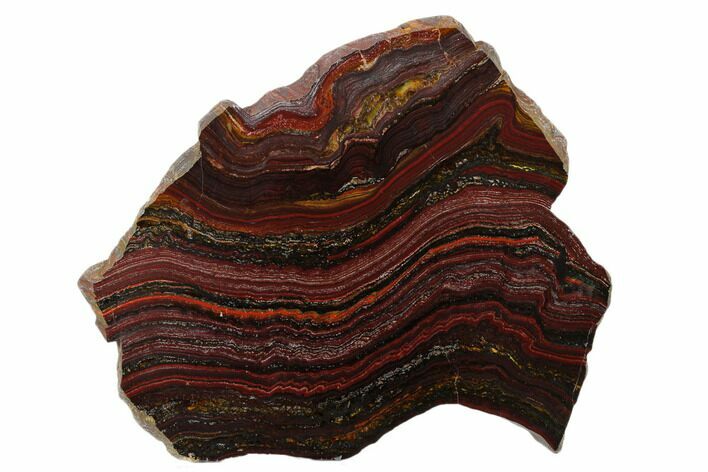 Polished Tiger Iron Stromatolite Slab - Billion Years #185948